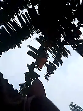 optra34 online show from 10.22.25