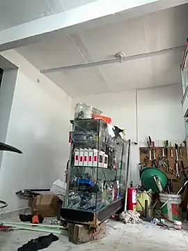 Terra-22cm online show from 02.14.26