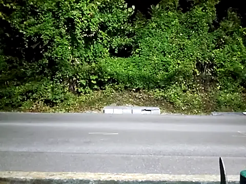 sloppytopkins online show from 09.15.25