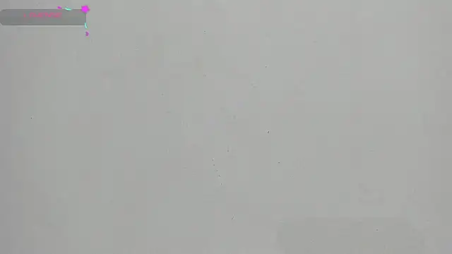 FluffyMelons online show from 01.17.26