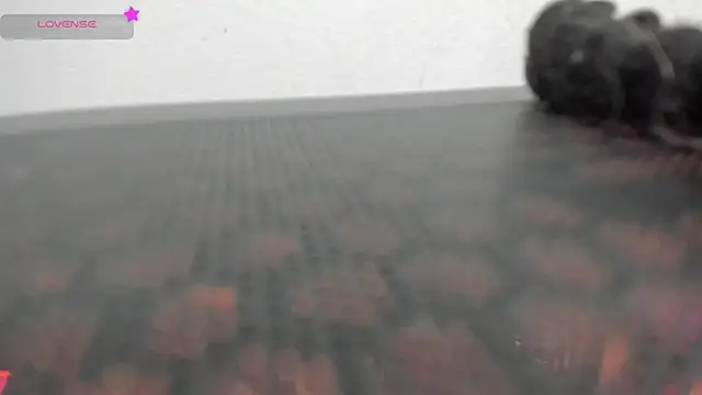 FluffyMelons online show from 04.01.26