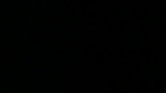 nekowaifuuu online show from 10.04.25