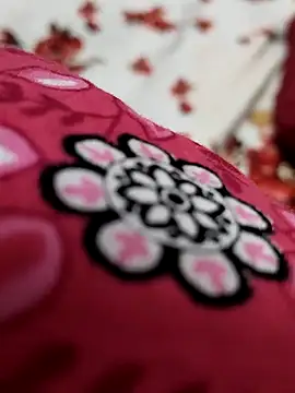 Snapshot of sana-5 chatting on 04.10.26 sana-5 online show from 04.10.26