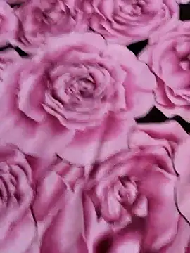 Snapshot of sana-5 chatting on 04.14.26 sana-5 online show from 04.14.26