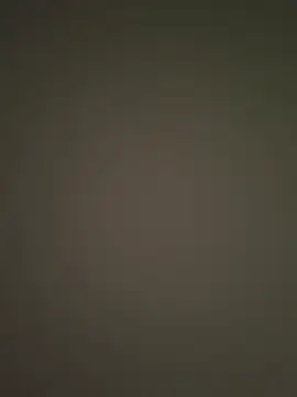 midravelta online show from 10.03.25