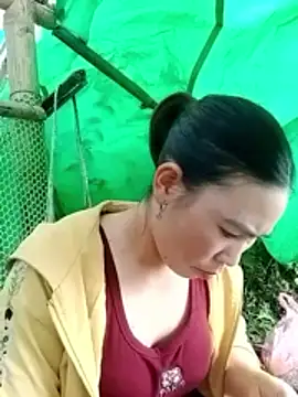 Snapshot of cicnci chatting on 11.05.25 cicnci online show from 11.05.25