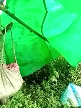 Snapshot of cicnci chatting on 11.09.25 cicnci online show from 11.09.25