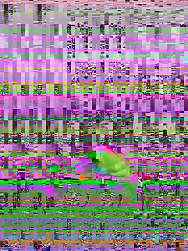 Snapshot of bihf_dam chatting on 04.14.26 bihf dam online show from 04.14.26