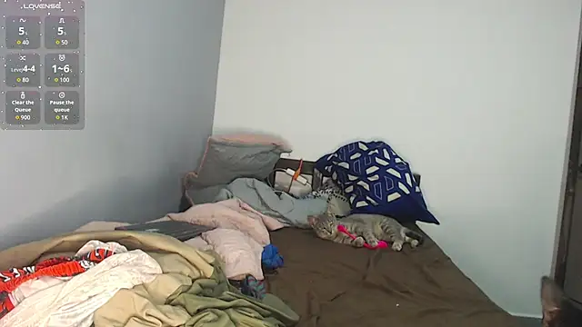 brisazanes online show from 11.13.25