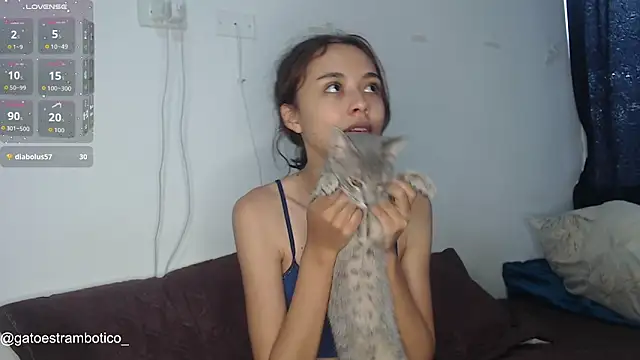 brisazanes online show from 01.08.26