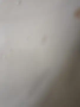 Gusttavotesudoxxvvc online show from 10.22.25