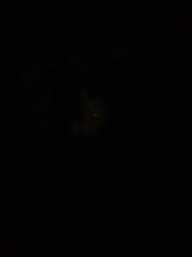 amitsharma7868 online show from 04.20.26