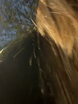 -juicy  online show from 02.17.26