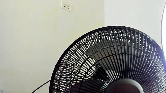 David niet online show from 11.04.25