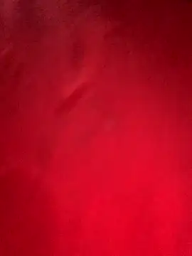 misharani00 online show from 10.02.25