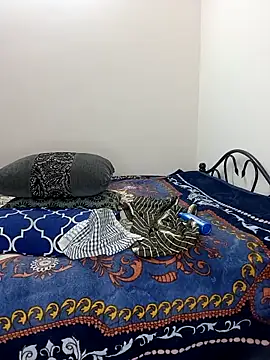 Chadni kannada online show from 02.28.26