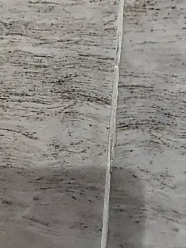 Snapshot of hot_plak chatting on 11.19.25 hot plak online show from 11.19.25