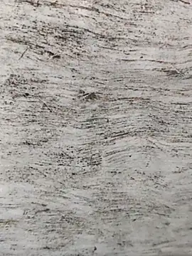 Snapshot of hot_plak chatting on 11.29.25 hot plak online show from 11.29.25