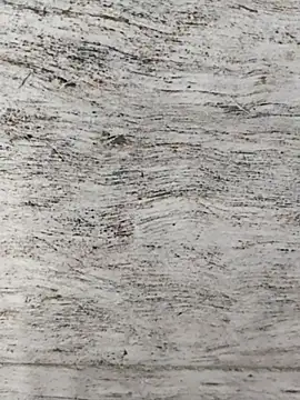 Snapshot of hot_plak chatting on 12.02.25 hot plak online show from 12.02.25