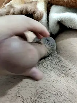 Zepe 12 online show from 02.16.26