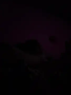 RandalHot online show from 04.09.26