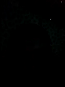 Snapshot of UntidyGuar chatting on 11.04.25 UntidyGuar online show from 11.04.25