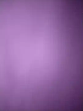 amolicars online show from 11.08.25