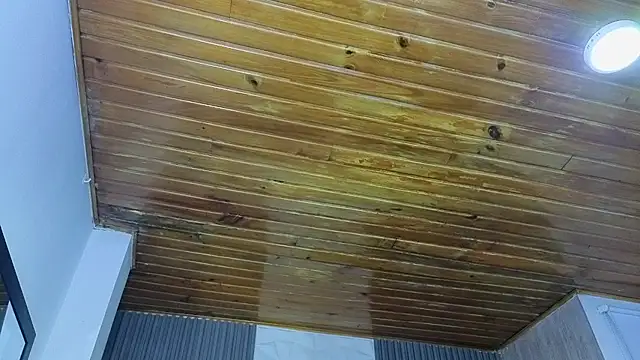 Snapshot of Bonnali_lune chatting on 04.19.26 Bonnali lune online show from 04.19.26