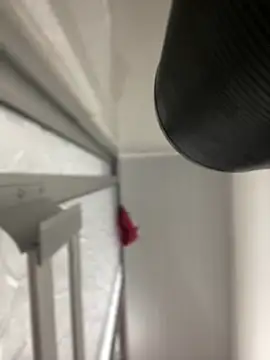 JuanitaMore01 online show from 10.07.25