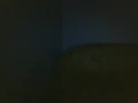 Snapshot of Aranox098 chatting on 11.23.25 Aranox098 online show from 11.23.25