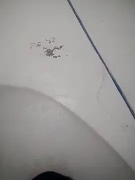 Celestial Field online show from 04.09.26