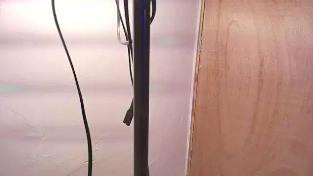 Terraelowen online show from 02.22.26