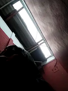 solpeich online show from 02.28.26