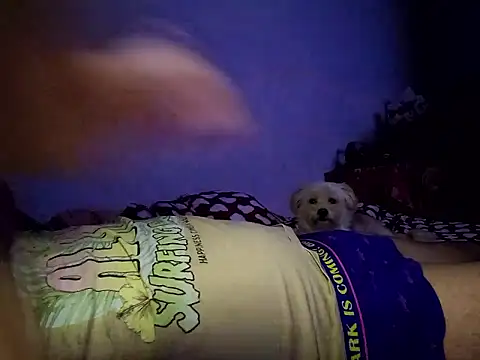 Alexandra23d online show from 10.02.25