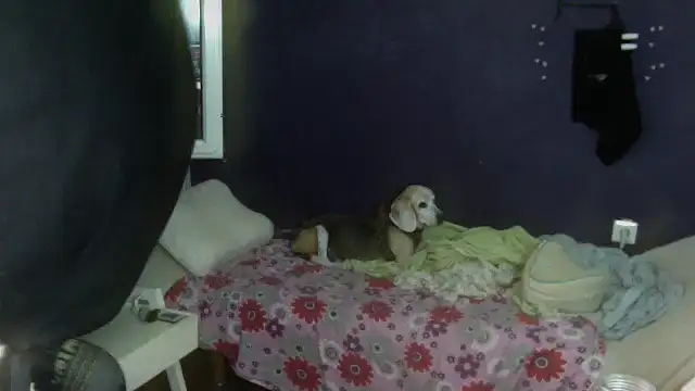 turkishTransEfsun online show from 09.13.25