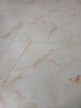 Snapshot of Samantaapu chatting on 11.16.25 Samantaapu online show from 11.16.25