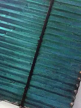 veronica and bryan online show from 09.14.25