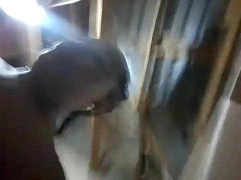 Snapshot of BigAssjuicy26 chatting on 10.27.25 BigAssjuicy26 online show from 10.27.25