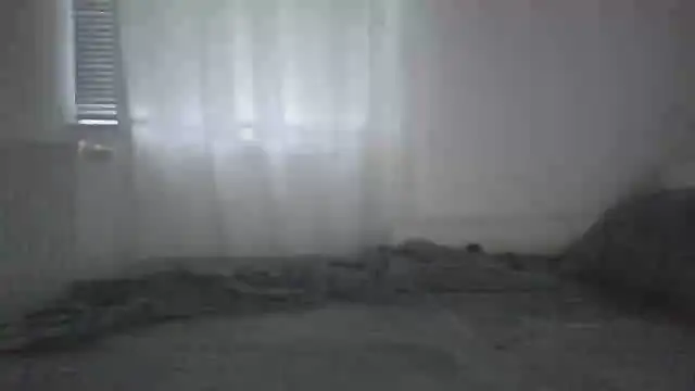 XLBarehengst online show from 05.20.26