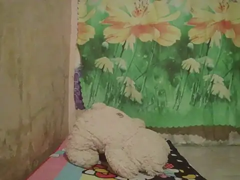 sexymorenal18 online show from 09.27.25