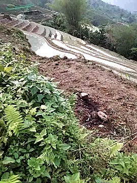 Snapshot of PhamPm70 chatting on 04.02.26 PhamPm70 online show from 04.02.26