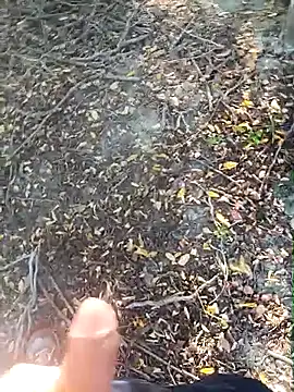 pegaso369 online show from 10.15.25