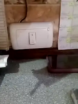 vergonvenco online show from 10.31.25