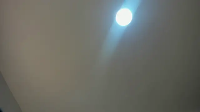 VioletRose as online show from 11.30.25