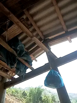 CoMay003 online show from 04.12.26