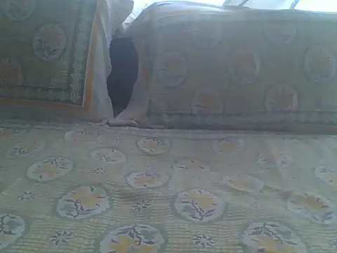 fckboy987 online show from 11.23.25