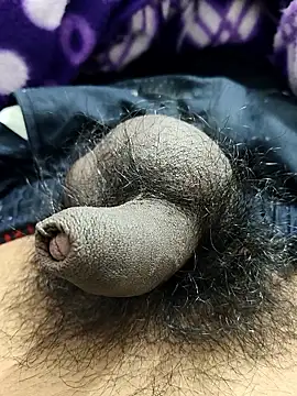 Bio-teacher online show from 01.13.26