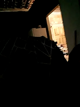 Snapshot of Rafael-01 chatting on 09.24.25 Rafael-01 online show from 09.24.25