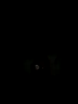 Snapshot of philefc chatting on 11.03.25 philefc online show from 11.03.25