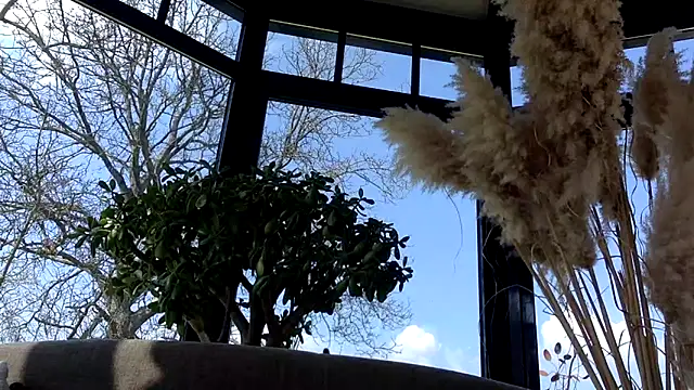 3615-ULLA online show from 03.22.26